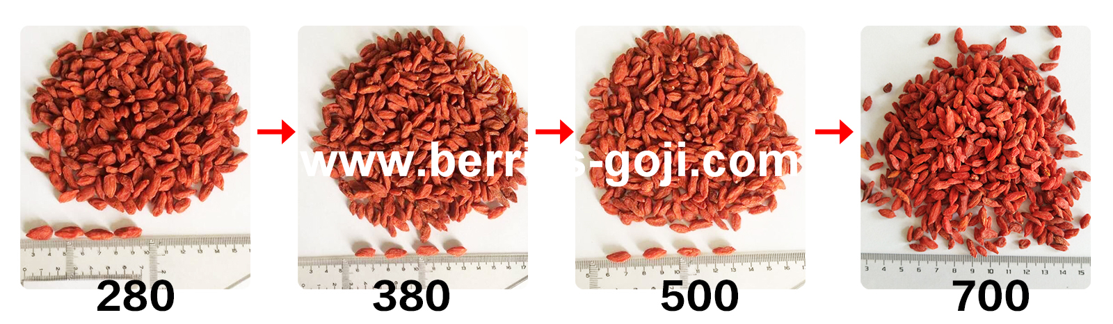 goji berry size