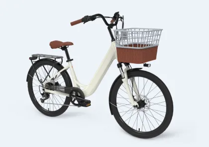 Customized Yeti E Bike Lady