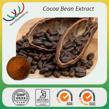 Cocoa polyphenol 40% theobromine 20% cheap cocoa powder