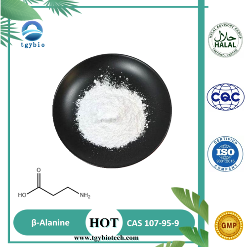 Suplementos nutricionales beta-alanina beta alanina