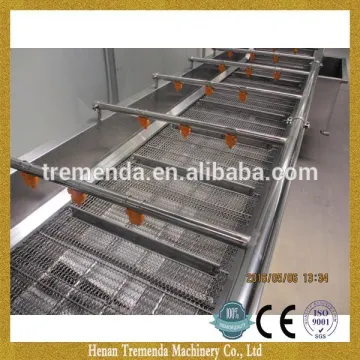 customized mango washing machine in China