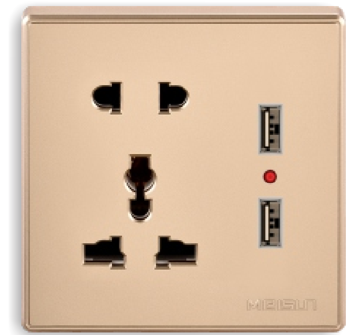 Mulitifunction socket with two pin USB