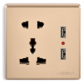 Mulitifunction socket with two pin USB