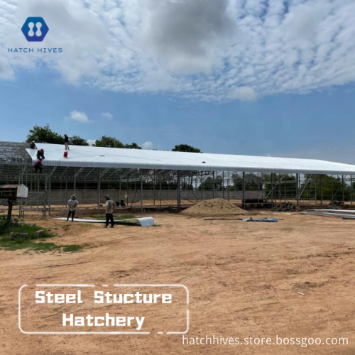 Steel Structure Prefabricated Building for Aquaculture: HatchHives Crawfish Hatchery RAS System Equipment for Fish Farming