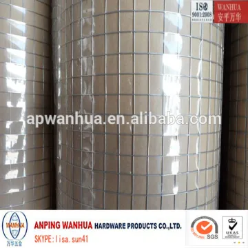 Anping Wanhua--Galvanized square bird cage wire mesh