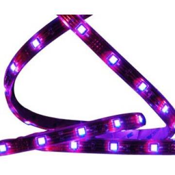 IP 65 LED Strip Light