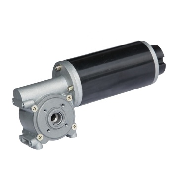 Customized Hollow Shaft High Torque Worm Gear Motor 36V DC - Factory Price