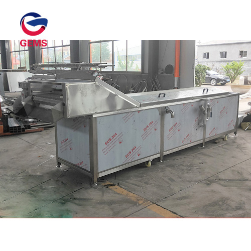 Spinach Steaming Blanching Oyster Cooking Blanching Machine
