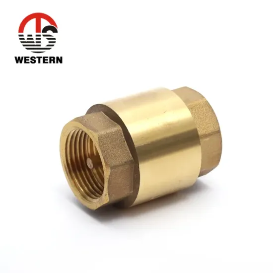 Valve Factory Standard Pn20 Sanitary Brass Vertical Spring Vertical Type Brass Vertical Spring Check Valvefor Water Pump