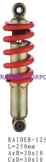 Motorcycle Absorber Raider-125