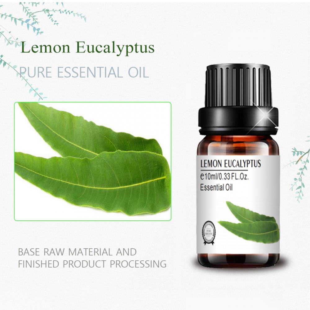 Vipodozi vya Daraja la Kibinafsi la Lemon Eucalyptus mafuta