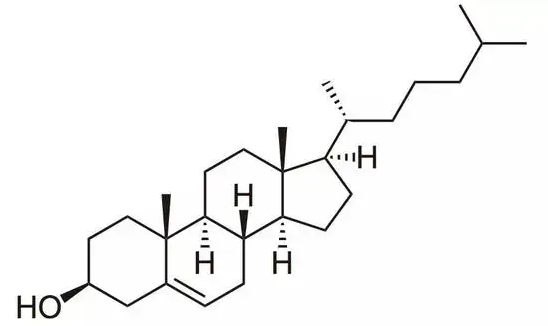 Plnat Cholesterol