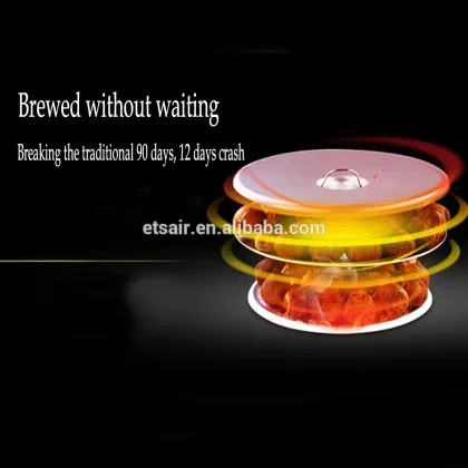 Wholesale Stainless Black Garlic Fermenting Machine Black Garlic Fermenter Black Garlic Fermentation Box