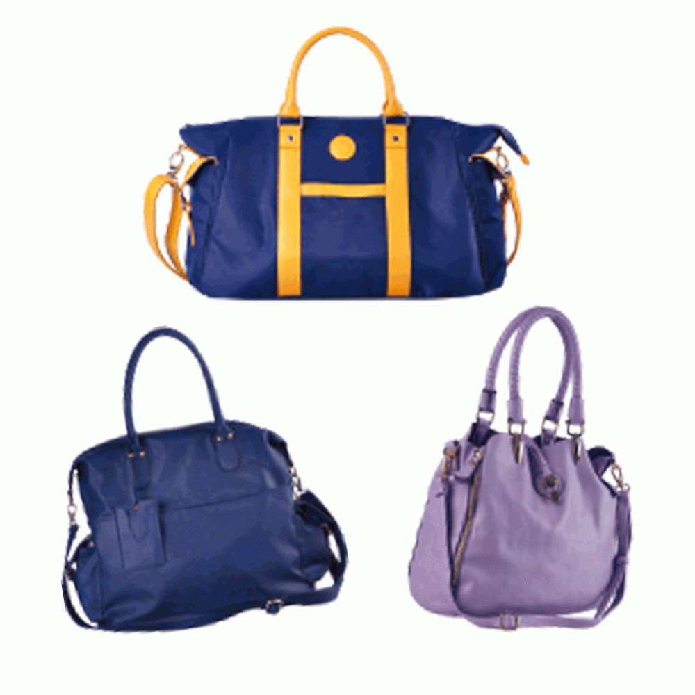 Fashionable women's handbag