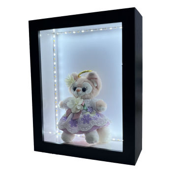 White and Black 2 Inch Deep 10x10 DIY Plant Specimen Display Shadow Box Frame with Light