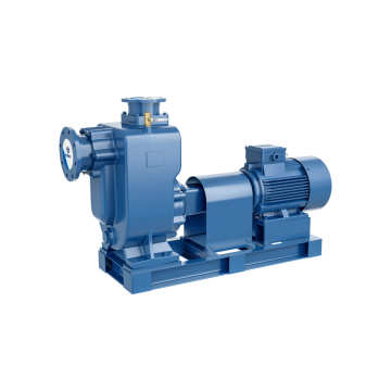 230V 2 HP ZW Efficient Self-Priming Non-Clogging SS Sewage Pump