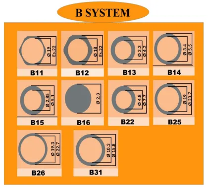 De Nora Common Rail Injector Shims