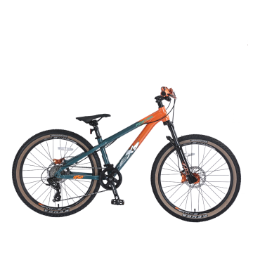 Gençlik Hardtail BMX Bisiklet Serbest Stil Sürüş