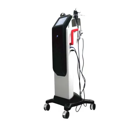 RF Physiotherapy Instrument: Bioenergy Body Massager & Bioelectric Meridian Dredge Device