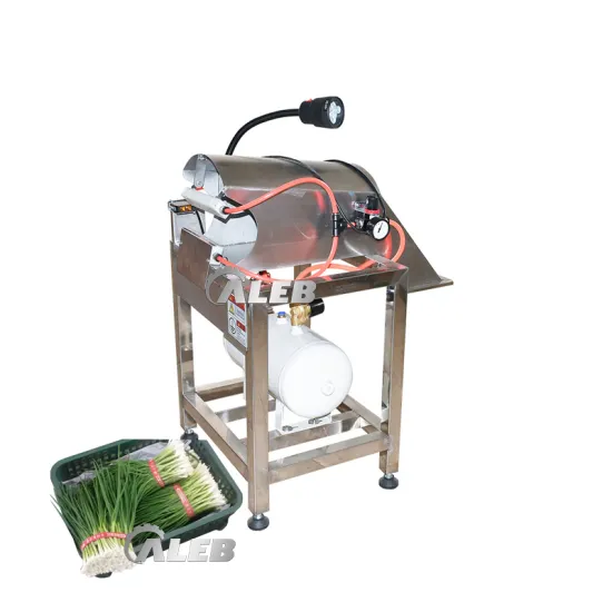 Automated Kitchen Appliances: Efficiently Cleaning and Cutting Herbs and Vegetables