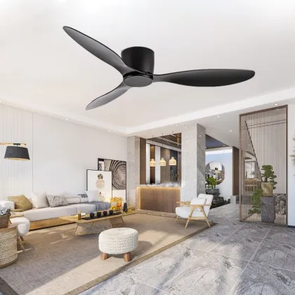 Factory Direct Inverter Fan with 6 Speeds Adjustable LED Lighting and Detachable Main Light