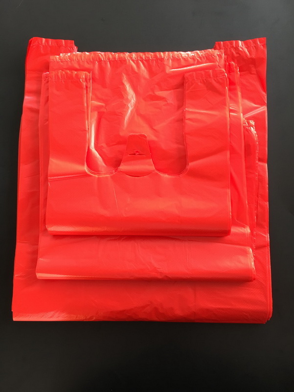 Reusable Plastic Shopping Bag with Logo