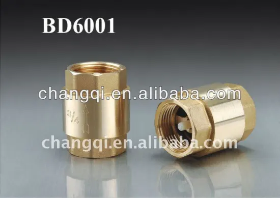 Brass Check Valve (Stainless steel Spring)