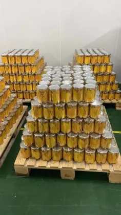 Retail Package Dried Mango For Russian Market