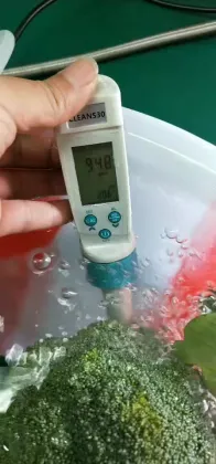 Ozone Detector and Analyzer: Ozonizer and Ozone Gas Detection Solutions