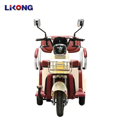 Family Leisure Electric Tricycle