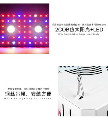 Cree COB LED Grow Light Samsung LM301B
