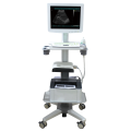 Touch screen 3D Ultrasound Scanner Machine-- SS-100