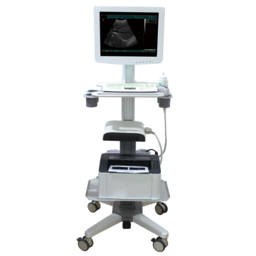 Touch screen 3D Ultrasound Scanner Machine-- SS-100