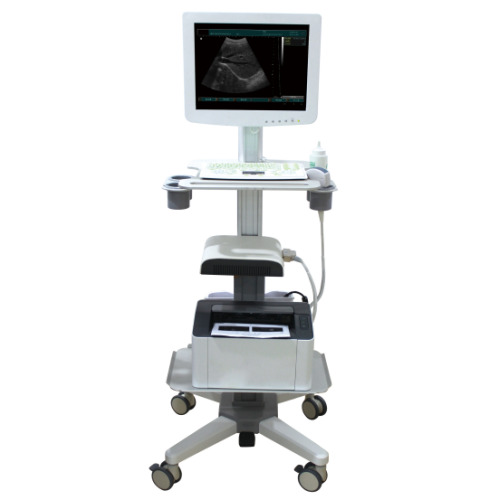 Touch Screen 3D Ultrassom Scanner Machine-- SS-100