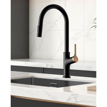 Brass Pull Down Black-Gold Single Handle Kitchen Faucet