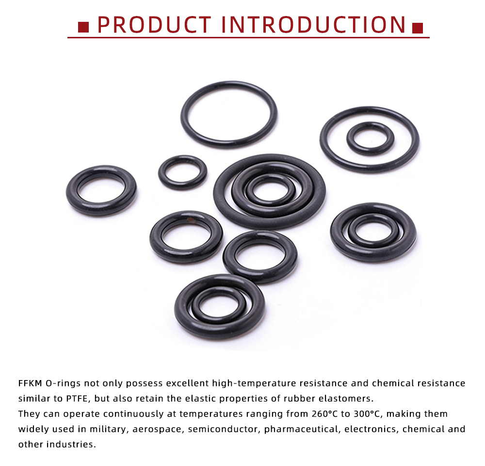 High Performance FFKM O-Ring Seals x