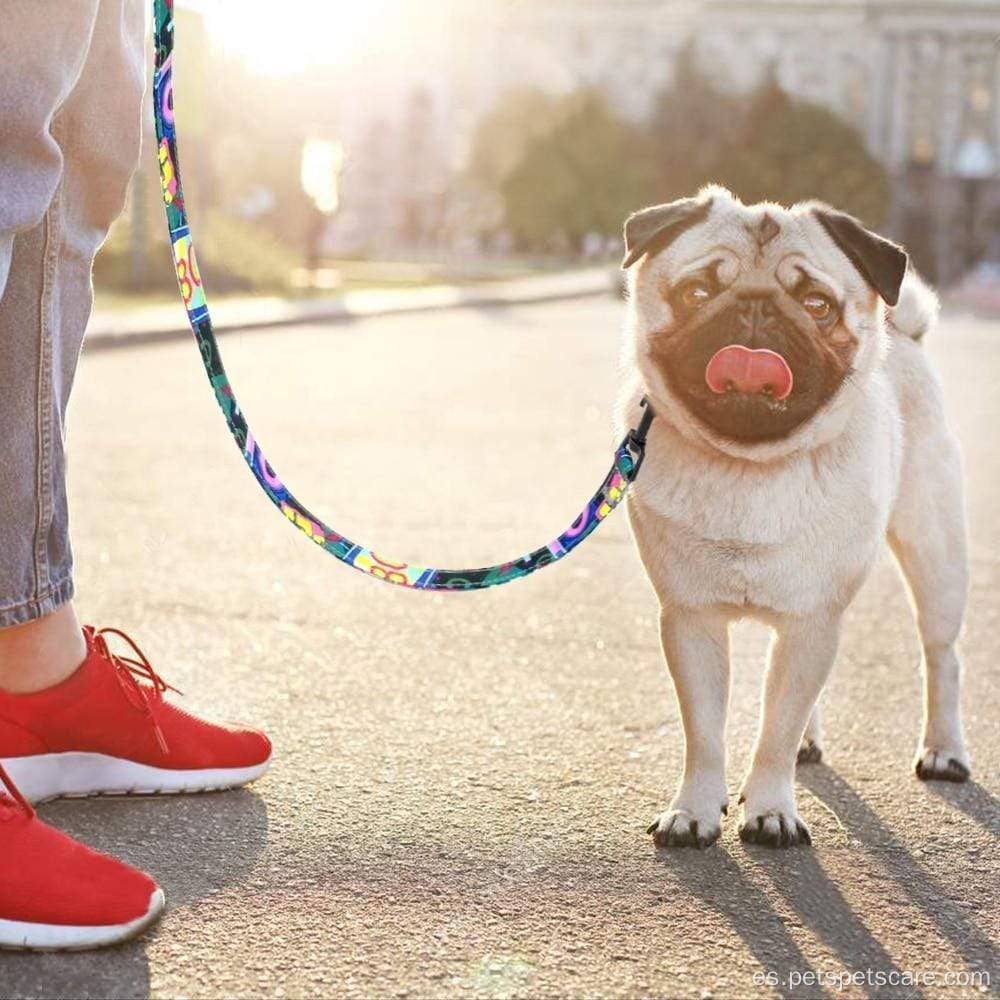 Dots tela nylon mascota correa de correa de perro
