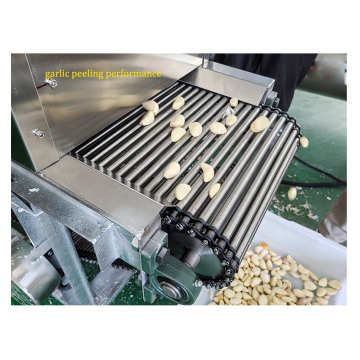 Industrielle kleine 200 kg/h Knoblauchschältung mit Luftkompressorkraft