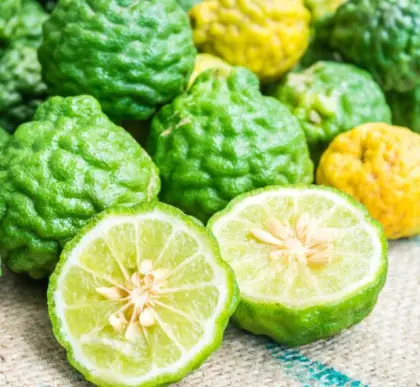 Bergamot Essential Oil Aromatherapy Oil