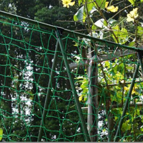 Enrejado de plantas agrícolas 100% PE virgen