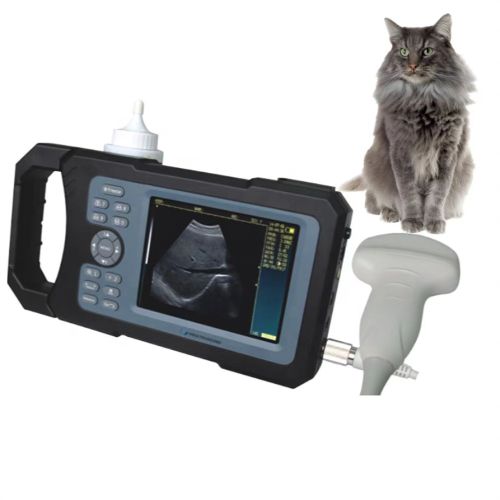 Échographie vétérinaire Clinique d'animal de scanner d'animaux