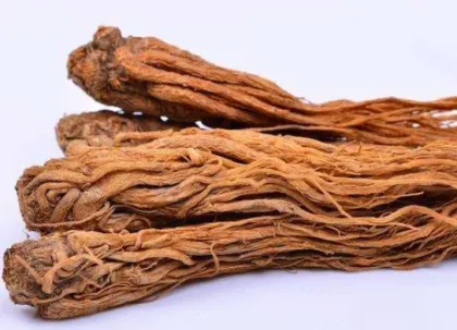 Angelica root essential oil in a beauty salon