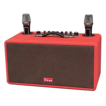 2022 Portable 6.5 Inch Bluetooth Karaoke Sound Box - Home Audio Party Speaker