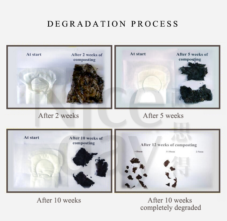 Organic sanitary pad