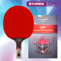Raqueta de tenis de mesa Friendship 729 KING Series