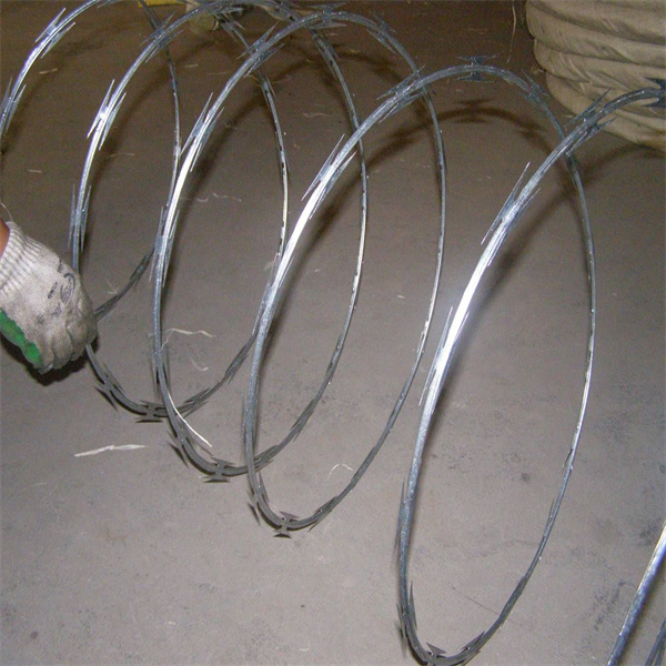 Concertina Galvanized Razor Barbed Wire Length Per Roll, High Quality
