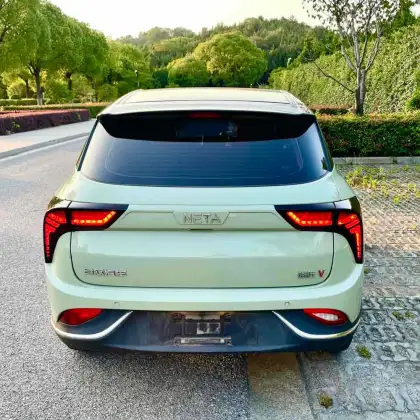 Neta AYA 2023 model 318LIT version