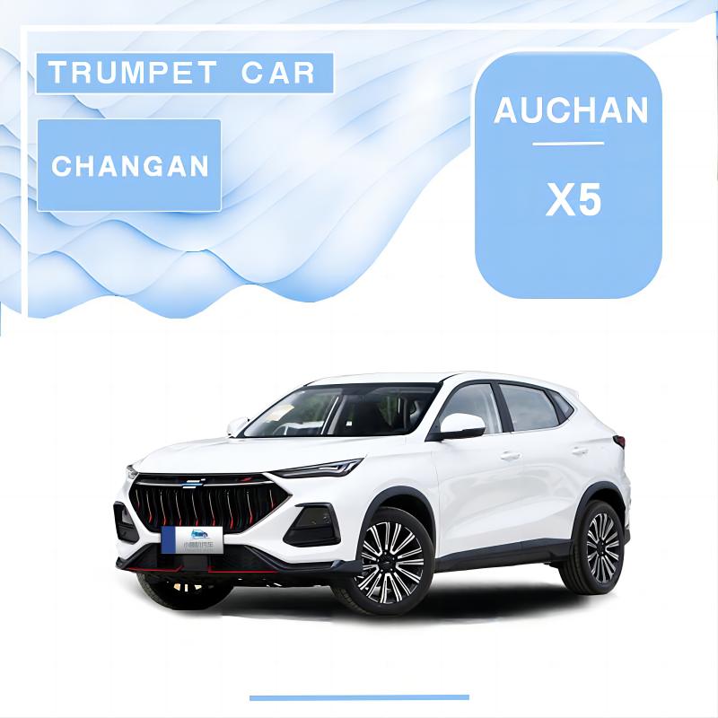 Changan Oushang X5 Premium Edition