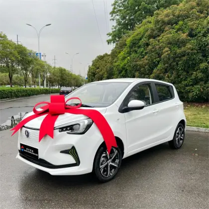 2024 Changan Benben E-Star Mini EV