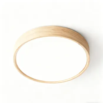 Home ambient ceiling lighting